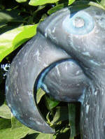 Blue Macaw 12 - A marble sculpture by Cliff Fraser