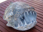 Deep Sea Fish Sculpture -  A marble sculpture by Cliff Fraser [In progress - Stage 7]